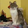 Отзыв от Римма Бирюкова